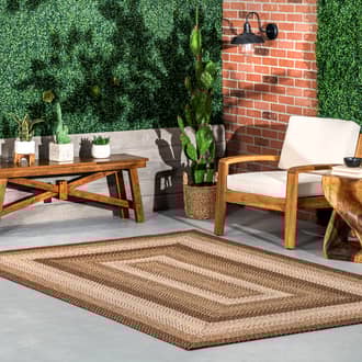 Selena Braided Indoor-Outdoor Rug secondary image