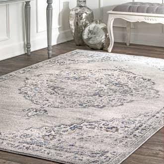 Rugs USA Gray Moonlight Vintage Medallion rug - Transitional Rectangle 4 x