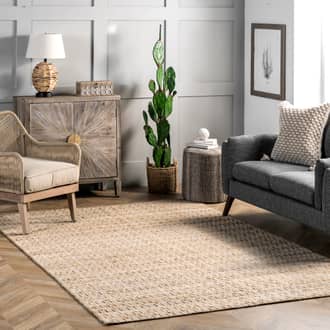 10' x 14' Pinstriped Jute Rug secondary image