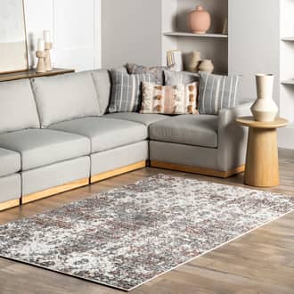 Ruby Distressed Mist Rug secondary image