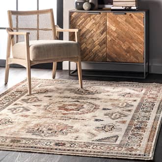 Faded Medallion Fringe Rug secondary image