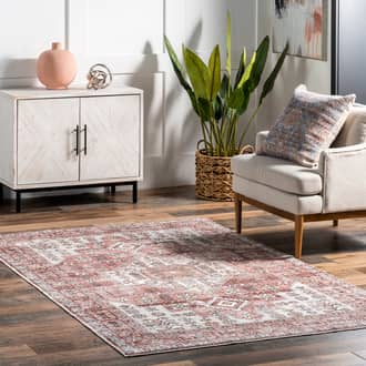 5' x 8' Emelie Bordered Medallion Washable Rug secondary image