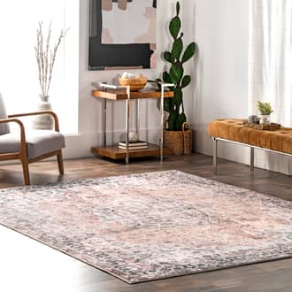 5' x 8' Kinsley Vintage Paisley Rug secondary image