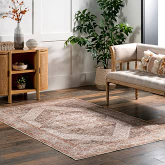 Margot Bordered Medallion Washable Stain-Resistant Rug secondary image