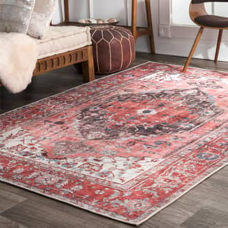 Shaded Medallion Rug secondary image