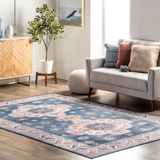 Eboni Traditional Washable Rug secondary image