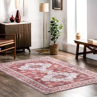 Eboni Traditional Washable Rug secondary image