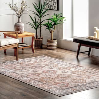 Francesca Timeworn Charm Washable Rug secondary image