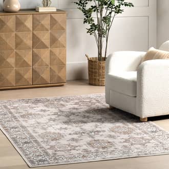 Francesca Timeworn Charm Washable Rug secondary image