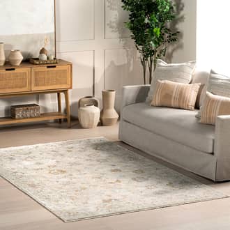4' x 6' Desiree Medallion Rug secondary image