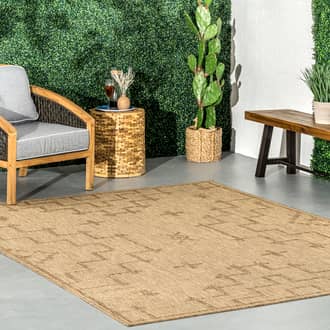 Adelyn Cross Indoor/Outdoor Rug secondary image