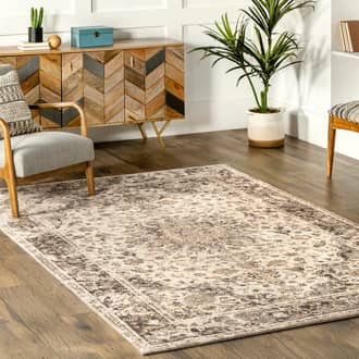 Garnished Medallion Rug secondary image