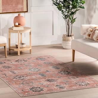 5' x 8' Brenda Hazy Heraldry Washable Rug secondary image