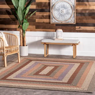 Selena Braided Indoor/Outdoor Rug secondary image