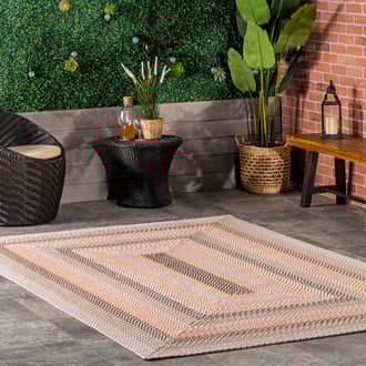 Selena Braided Indoor/Outdoor Rug secondary image