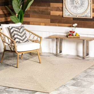 Mya Braided Indoor/Outdoor Rug secondary image