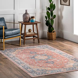 Adina Washable Distressed Rug secondary image