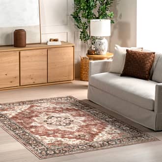 Seine Medallion Washable Rug secondary image