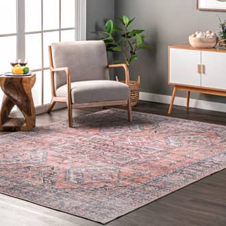 Bri Faded Washable Rug secondary image