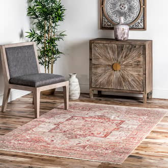 Fringed Medallion Rug secondary image