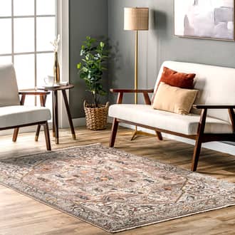 4' x 6' Fringed Medallion Rug secondary image