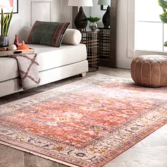 4' x 6' Sivas Fringe Rug secondary image