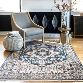 Timeworn Medallion Rug secondary image