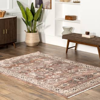 Kaylin Distressed Medallion Rug secondary image