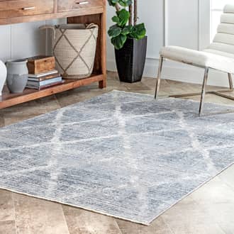 Streaked Trellis Fringe Rug secondary image