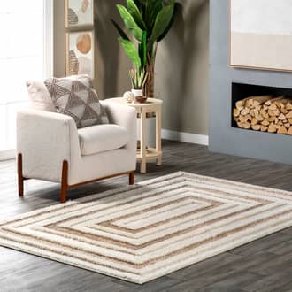 Cady Shag Borders Rug secondary image