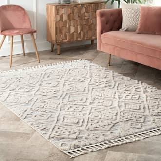 Textured Tasseled Rug secondary image