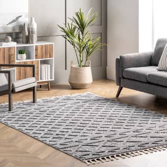 Modern Raised Lattice Tasseled Rug secondary image