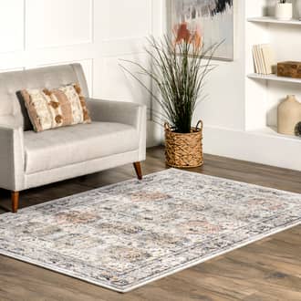 Rina Washable Persian Rug secondary image