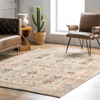 8' x 10' Southwestern Bordered Rug secondary image
