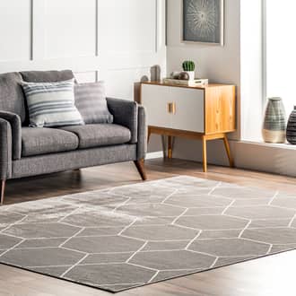 Jacqueline Honeycomb Trellis Rug secondary image