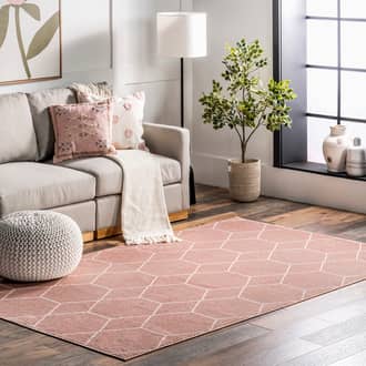 5' x 8' Jacqueline Honeycomb Trellis Rug secondary image