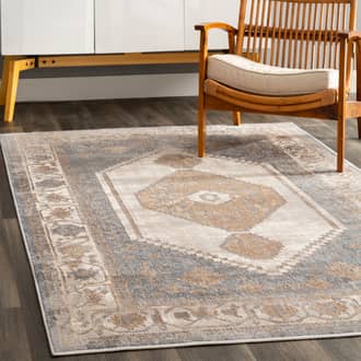 Plated Medallion Rug secondary image