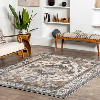 4' x 6' Crested Venetian Rug secondary image