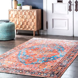 Timeworn Medallion Rug secondary image