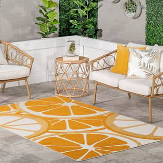 Clementine Indoor/Outdoor Rug secondary image