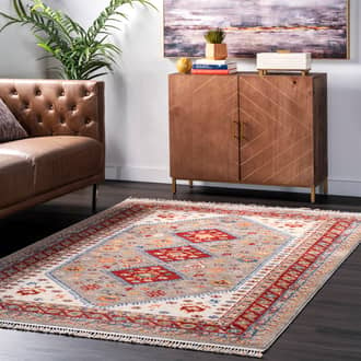 Tribal Tale Medallion Rug secondary image