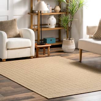 Adrea Pinstriped Sisal Rug secondary image