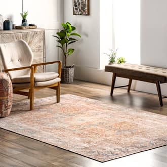 Heather Washable Fading Medallion Rug secondary image