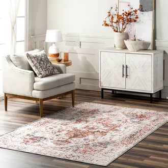 Almira Reversible Washable Hazy Rug secondary image