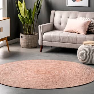 Farah Braided Ombre Rug secondary image