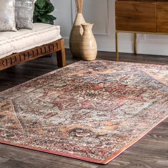 Vintage Medallion Rug secondary image