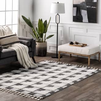 Anahi Lifted Plaid Rug secondary image