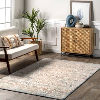 Darlene Vintage Faded Rug secondary image