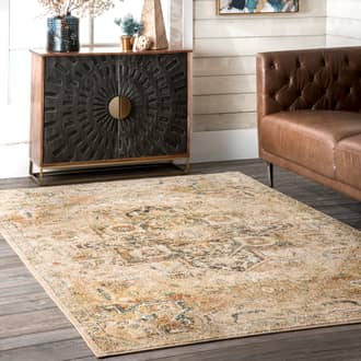 Diamond Medallion Rug secondary image