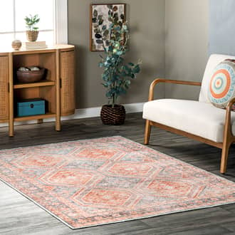 Contessa Washable Vintage Rug secondary image